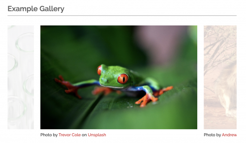 Academic landing page gallery